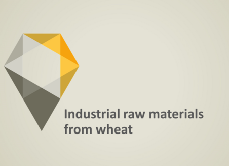On a grey background there is written: Industrial raw materials from wheat