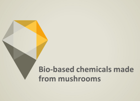 On a grey background there is written: Bio-based base chemicals made from mushrooms